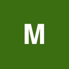 Msvisa logo