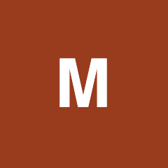 Максислог logo