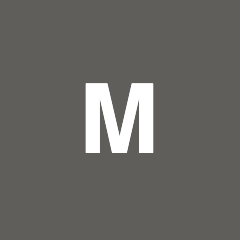 Msi logo
