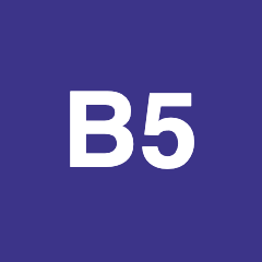 Виза 5 logo